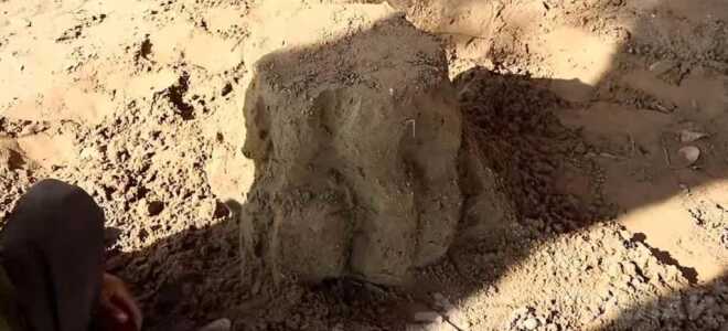 Садовый стульчик из бетона в виде пенька