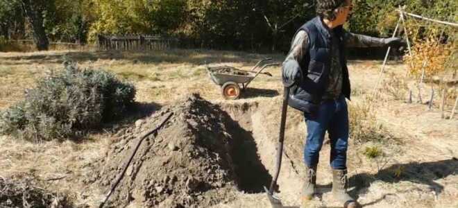 Как сделать теплые грядки на даче своими руками
