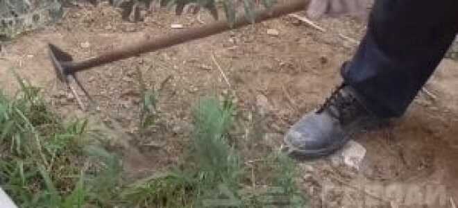 Двусторонняя сапка-мотыга своими руками