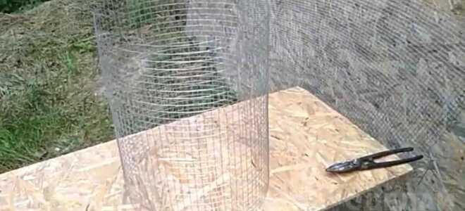 Как сделать декоративный пенек из цемента