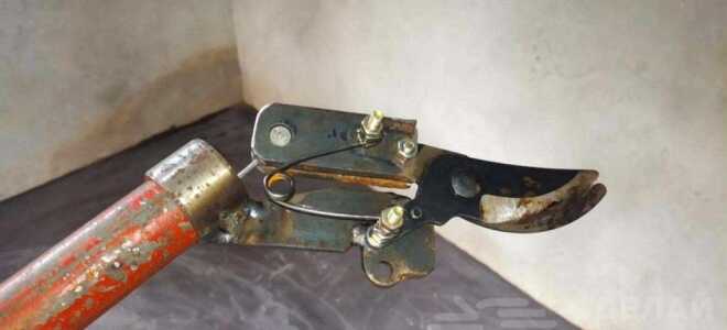 Самодельный штанговый веткорез из старого секатора