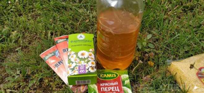 Эффективное средство против муравьев в саду