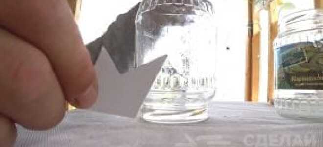 Как сделать простую мышеловку своими руками