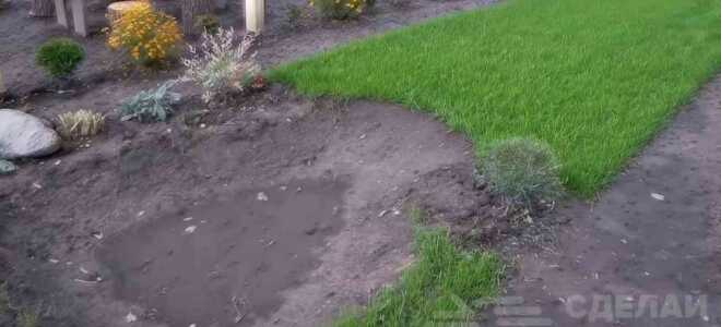 Как сделать декоративный пруд своими руками за 1 день