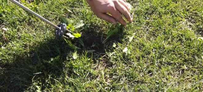 Насадка на шуруповерт: для удаления сорняков на даче